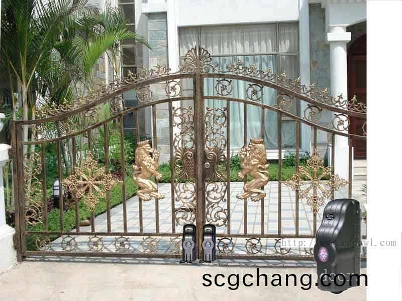  鐵藝(yi)大(da)門
